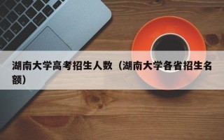 湖南大学高考招生人数（湖南大学各省招生名额）