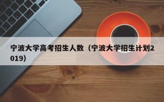 宁波大学高考招生人数（宁波大学招生计划2019）