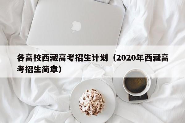 各高校西藏高考招生计划（2020年西藏高考招生简章）-第1张图片-新高考